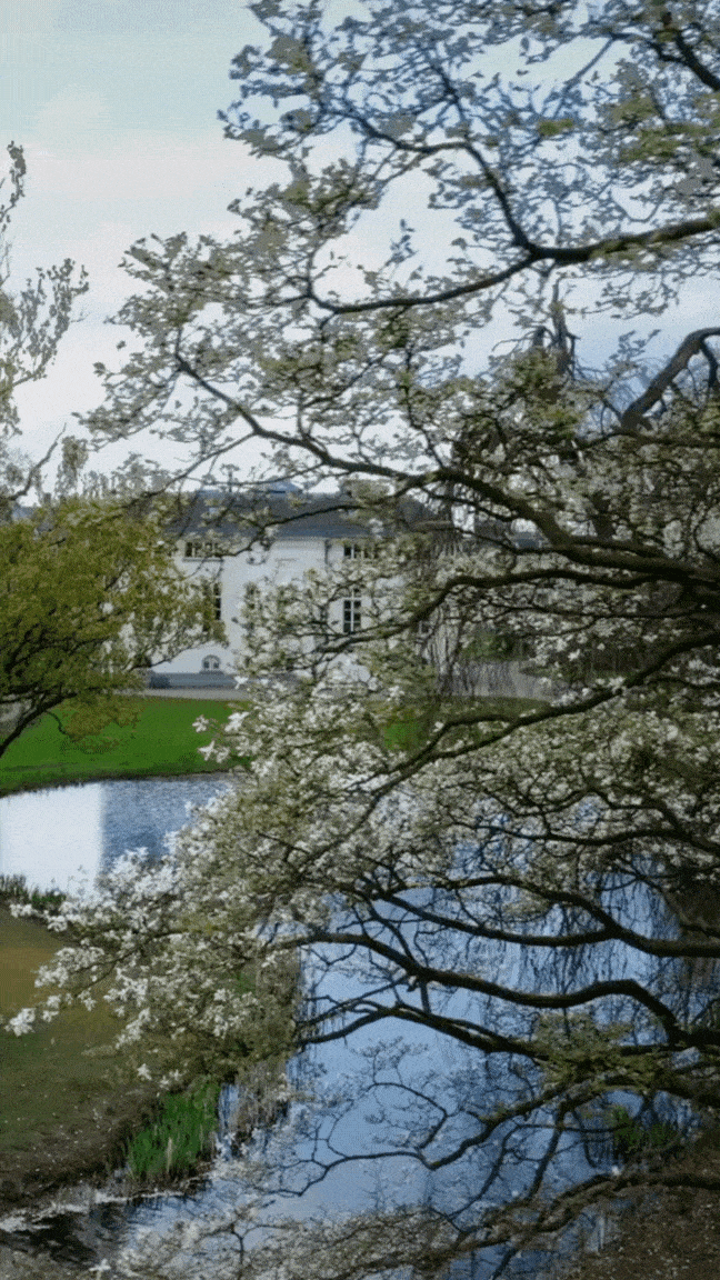 Mobiele Video Ontwerp Villa Schuttersveld (2)