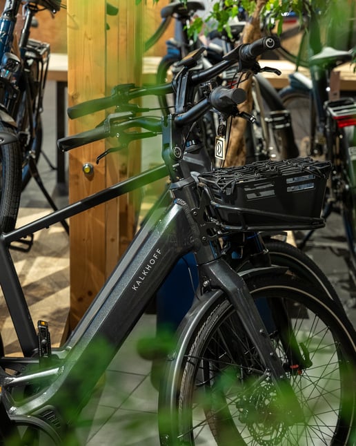 e-bike-landewe-pay-pay
