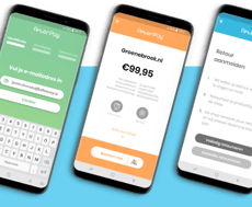 pay in terms