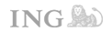 logo-ing