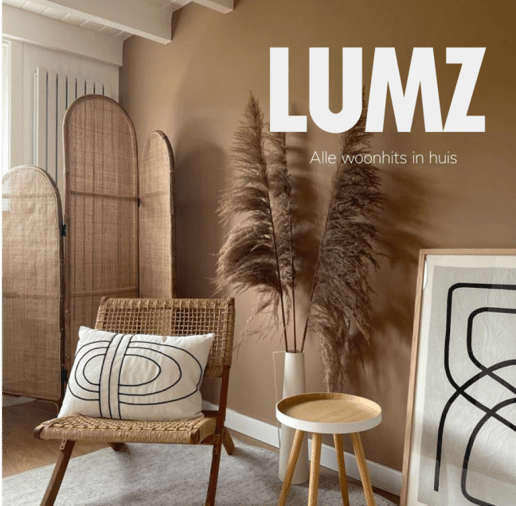 Klantcase: LUMZ