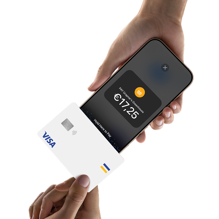 Pay-TTPOI-VISA-1