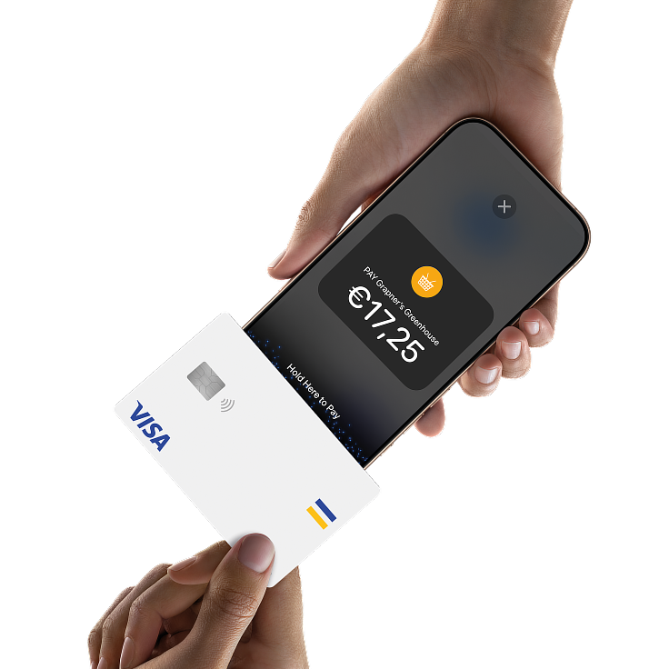 Pay-TTPOI-VISA-1