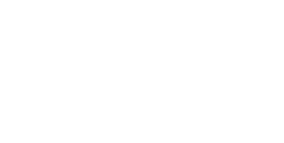 valk-logo-branding